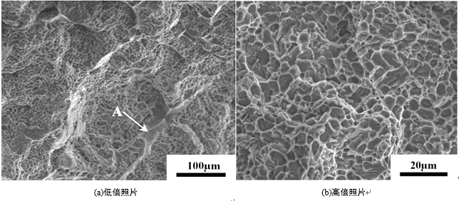 Fracture Morphology of ZL101A-T6 Aluminum Alloy
