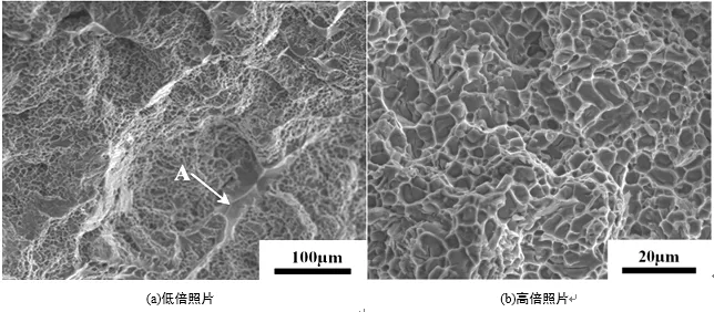 Fracture Morphology of ZL101A-T6 Aluminum Alloy