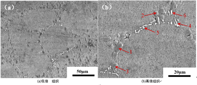 Microstructure of ZL101A-T6 Aluminum Alloy