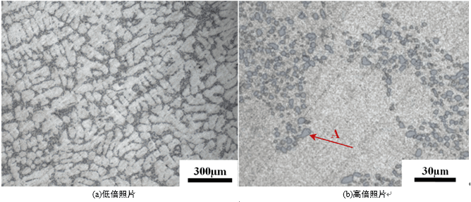 Microstructure of ZL101A-T6 Aluminum Alloy