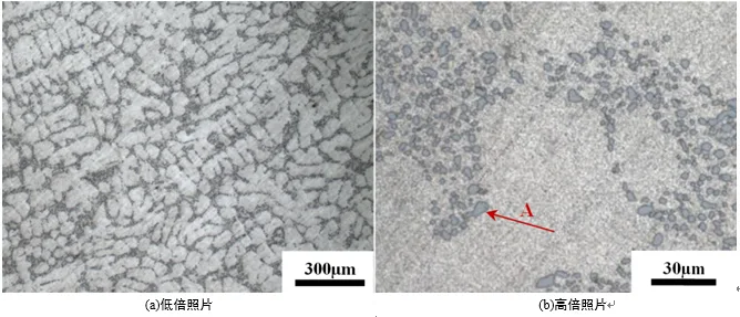 Microstructure of ZL101A-T6 Aluminum Alloy